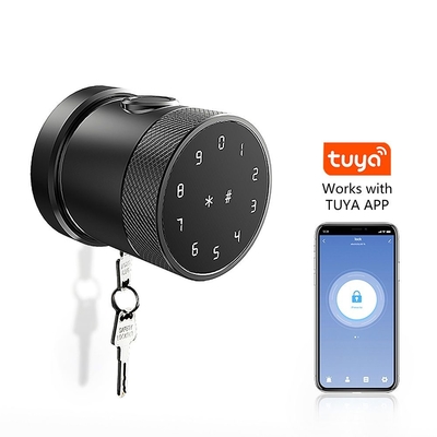 Drahtlose Zinklegierung Digitale elektronische Fingerabdruckerkennung Smart Door Schließung mit Tuya App oder TTLock App GL-H4